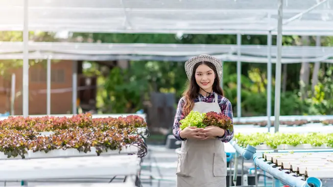 menghijaukan sekolah