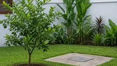 120 Rumah di Tamansari Belum Punya Septic Tank