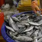 Pedagang mengecek ikan di Pelelangan ikan Muara Baru, Jakarta, Sabtu (6/7/2019). Angka ini mengalami kenaikan 24% dibandingkan periode yang sama tahun lalu yang hanya mencapai Rp32 triliun. (Liputan6.com/Angga Yuniar)