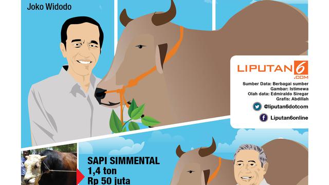 Infografis Sapi 1 Ton Kurban Presiden