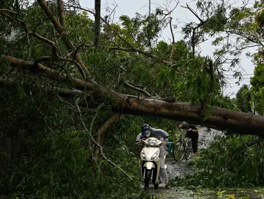 Seorang pengendara motor mengemudikan motornya untuk melewati pohon tumbang yang menghalangi jalan setelah Topan Kajiki melanda Provinsi Nghe An, Vietnam pada 26 Agustus 2025. (Nhac NGUYEN/AFP)