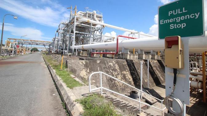 Selama ini, PKT membeli gas seharga US$ 6 dari perusahaan minyak dan gas lepas pantai guna memasok 5 pabrik produksi pupuk.(Liputan6.com/Abelda Gunawan)