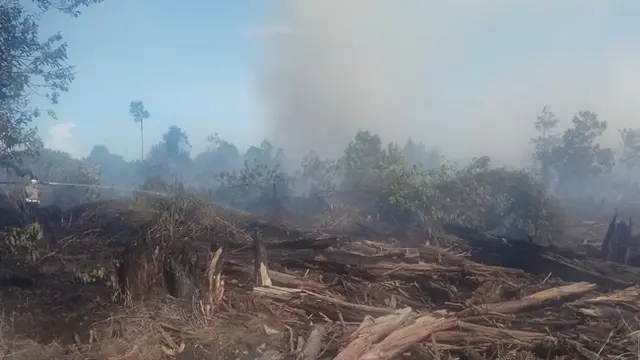 Petugas gabungan berusaha memadamkan kebakaran di Kota Dumai agar tak meluas