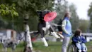 Seekor anjing menangkap frisbee dalam kompetisi frisbee anjing di Moskow, Minggu (13/9). Anjing dan pemiliknya ambil bagian dalam berbagai kategori jarak dan tes akurasi pada kompetisi untuk menilai keterampilan frisbee mereka. (REUTERS/Sergei Karpukhi)