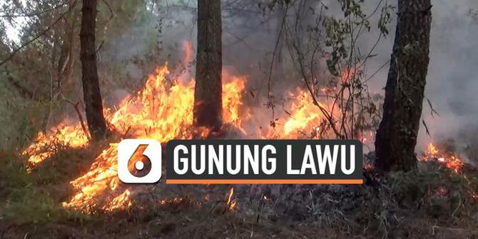 VIDEO: Kebakaran Gunung Lawu, 14,7 Hektar Lahan Terbakar