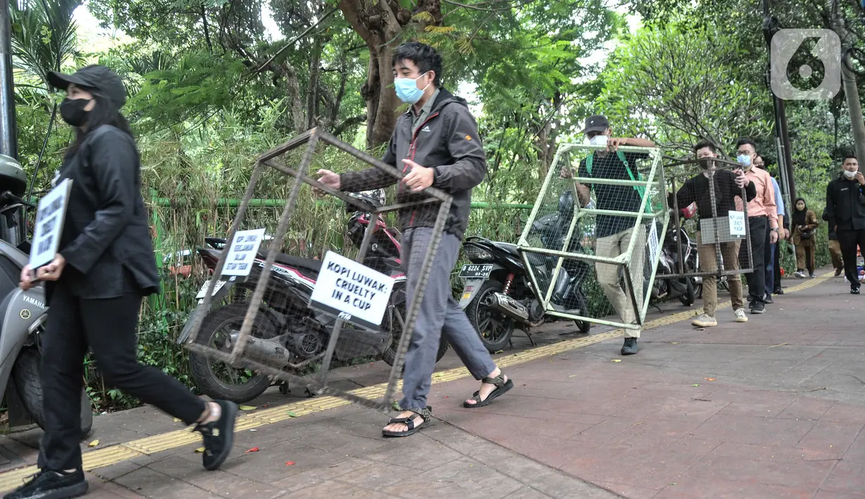 Aktivis People for the Ethical Treatment of Animals (PETA) membawa kandang saat aksi teatrikal mengecam eksploitasi luwak untuk kepentingan produksi kopi di depan Kantor Kementerian Lingkungan Hidup dan Kehutanan (KLHK), Jakarta, Rabu (25/1/2023). Investigasi PETA mengungkapkan luwak di Indonesia ditangkap dari habitat alami dan dikurung di dalam kandang sempit dan hampir tidak diberi makan apapun kecuali buah kopi yang menyebabkan hewan tersebut berpilaku stereotipikal atau stres. (merdeka.com/Iqbal S Nugroho)
