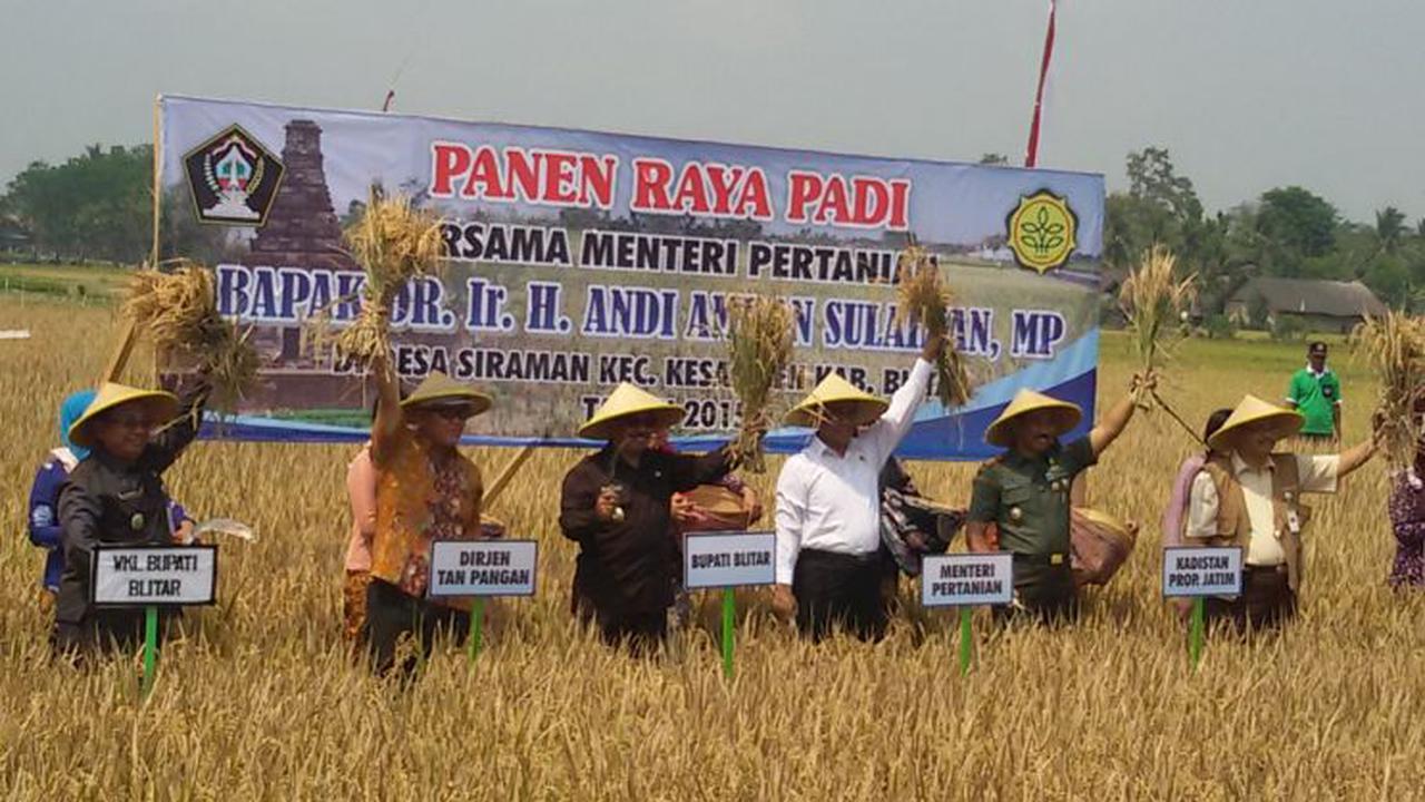 Menteri Pertanian Amran Sulaiman membuka panen raya di Desa Siraman, Kecamatan Kesamben, Kabupaten Blitar, Jawa Timur Selasa (29/9/2015). 