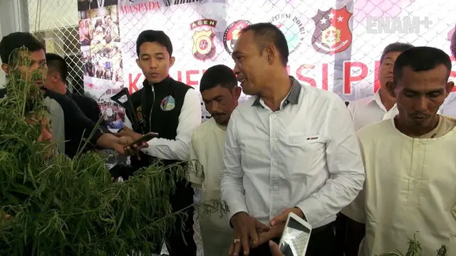 Aparat gabungan menemukan lahan ganja seluas 4 hektar yang terletak di pegunungan Gampong Labuy, Aceh. Dari lokasi petugas menangkap 2 petani ganja yang dibayar Rp 800 ribu oleh pemilik lahan.