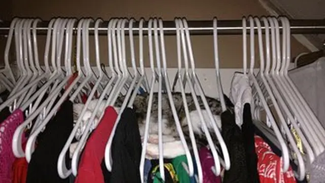 7 Kelakuan Kucing Tidur di Tempat Tak Biasa, Bikin Geleng Kepala