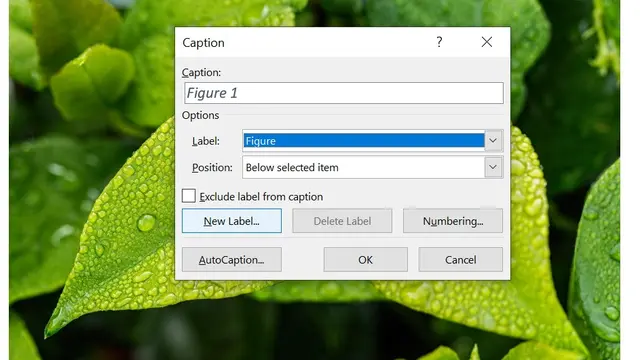 Cara membuat daftar gambar di Microsoft Word