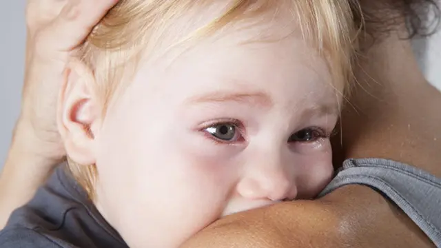 Foto: copyright thinkstockphotos.com