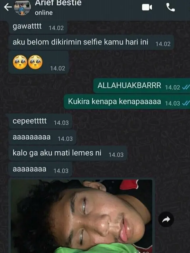 6 Chat Pacar Kirim Foto Selfie Ini Bikin Tepuk Jidat - Hot Liputan6.com