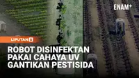Robot Disinfektan Cahaya UV Gantikan Pestisida Merawat Tanaman