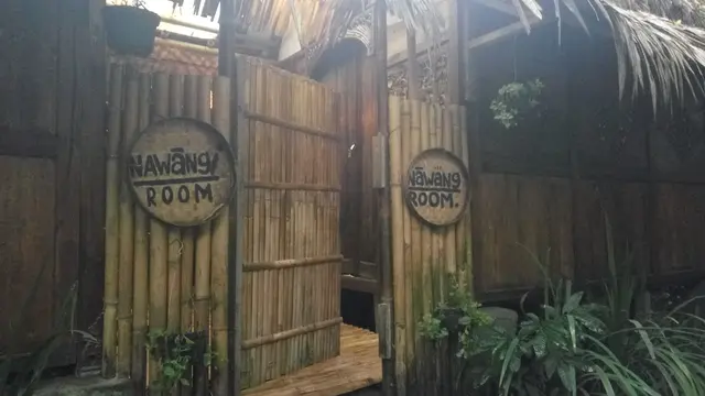 Frog Stay