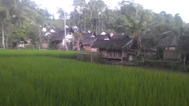 Area pemukiman Kampung Naga dan lahan pesawahan nampak berdeketan
