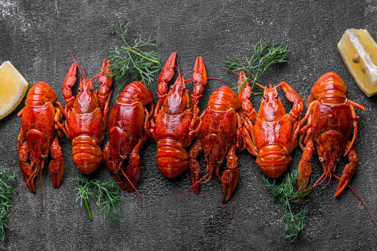 Apakah Lobster Aman Dikonsumsi Jika Mengandung Kolesterol Tinggi? Berikut Penjelasan Ahli