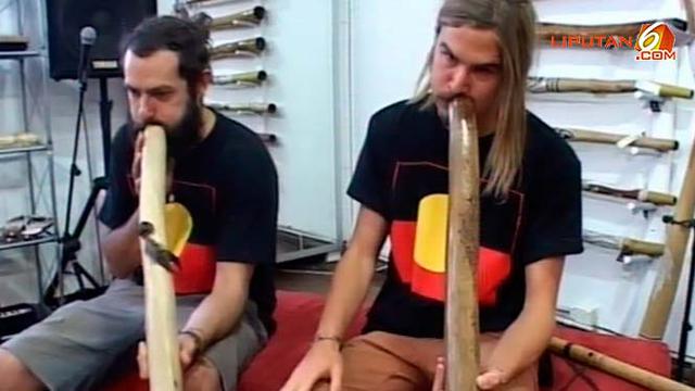 Didgeridoo Uniknya Alat Musik Khas Australia News Liputan6 Com