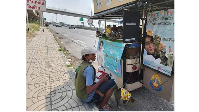 Viral Lansia Ajak 11 Kucing Traveling Pakai Motor, Tempuh Jarak 300 Kilometer