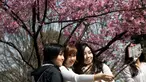 Tiga orang wanita berpose dengan latar Bunga Sakura di kawasan Asakusa Tokyo, Kamis (6/4). Musim mekarnya Bunga Sakura menarik minat wisatawan lokal dan manca negara. (AFP Photo/ Behrouz MEHRI)