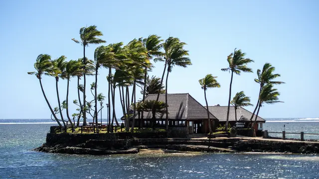 7 Turis Penghuni Resort Mewah Fiji Jatuh Sakit Diduga Keracunan Minum Cocktail di Bar