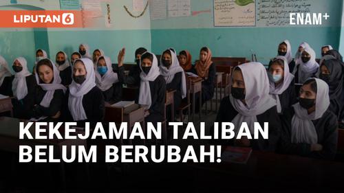 VIDEO: Kejam! Sikap Taliban Belum Berubah, Kini Larang Kaum Perempuan Ikut Ujian Masuk Universitas