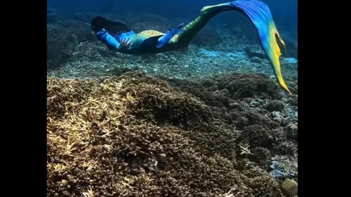 Pakai Kostum Duyung, Gubernur Sherly Tjoanda Unjuk Skill Menyelam dan Keindahan Pantai Siko Maluku Utara