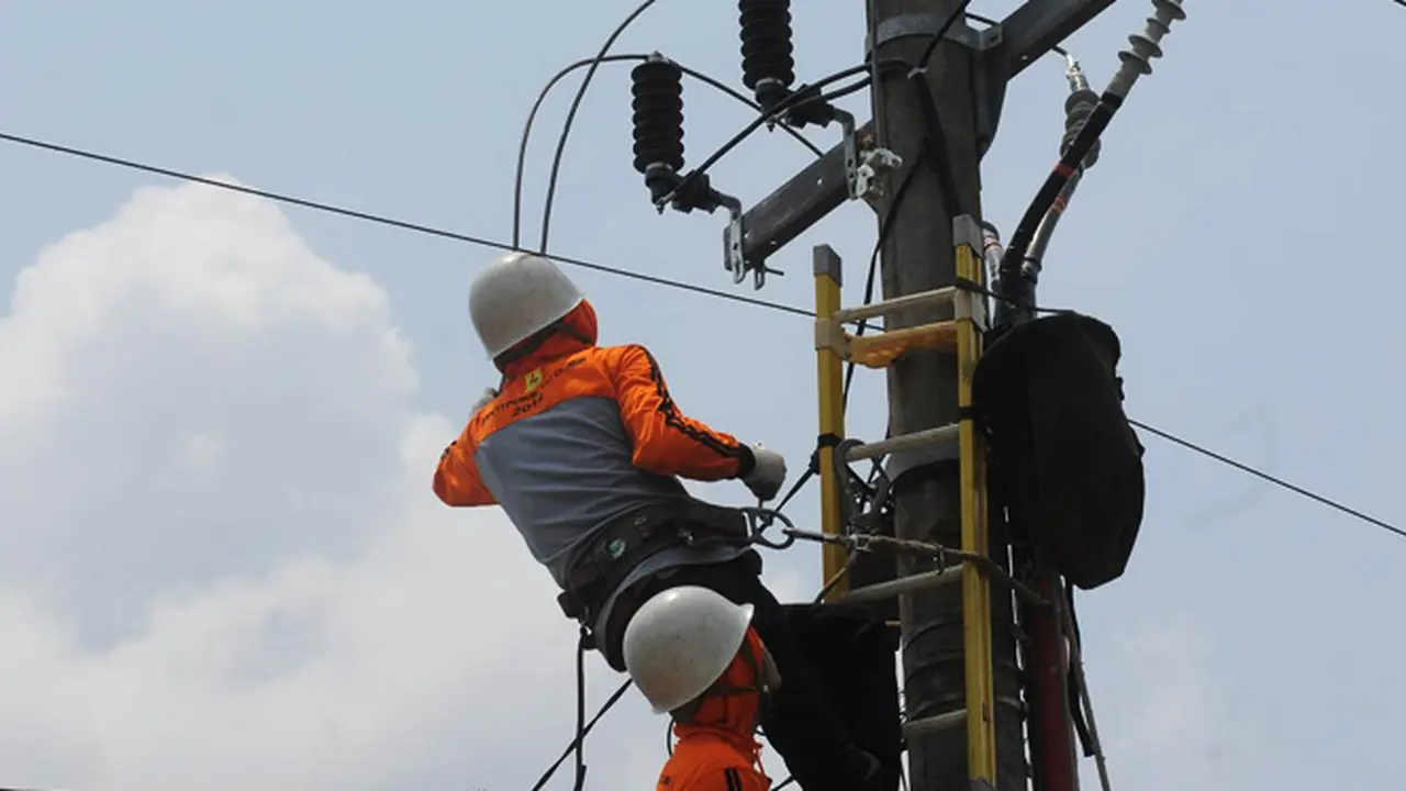 PLN