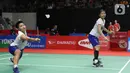 Pebulutangkis Indonesia, Greysia Polii/Apriyani Rahayu mengembalikan kok ke arah Liu Xuan Xuan/Xia Yu Ting (China) pada babak pertama ganda putri Indonesia Masters 2020 di Istora GBK, Jakarta, Rabu (15/1/2020). Greysia Polii/Apriyani unggul 22-24, 21-17, 21-15. (Liputan6.com/Helmi Fithriansyah)