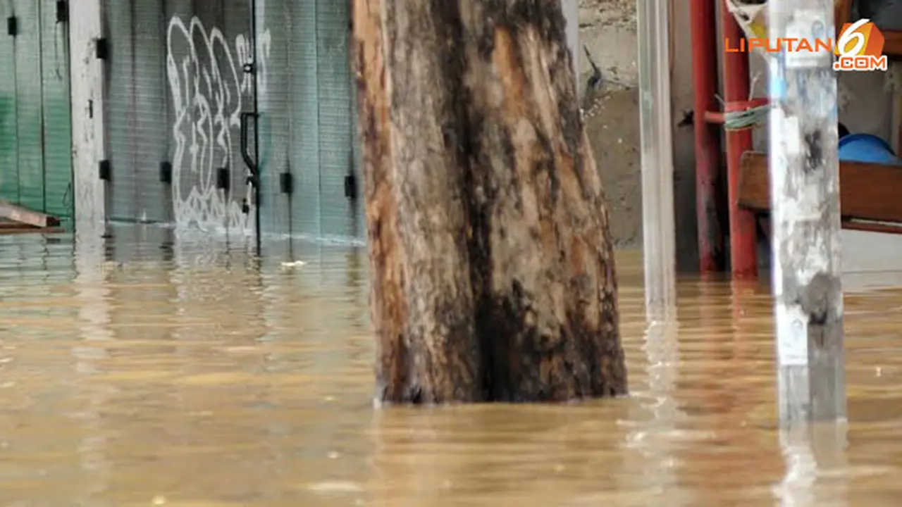 banjir-terendam-140131d.jpg