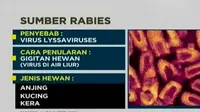Virus Rabies memakan korban jiwa di Mamasa, Sulawesi Barat. 
