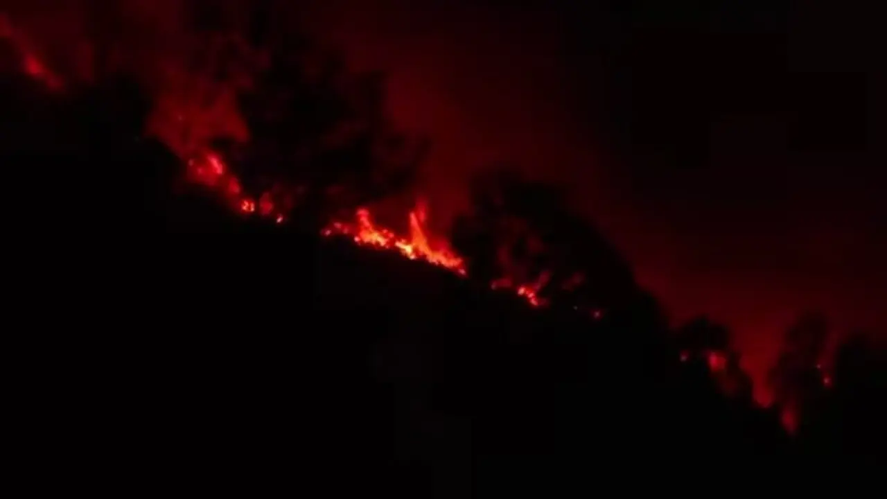 Karhutlah Meluas di Lereng Gunung Ijen, TWA Kawah Ijen Ditutup Untuk Wisatawan