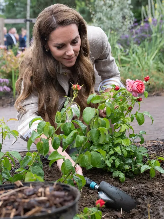 Berani Kotor, Kate Middleton Tampil Chic ala Cewek Bumi Saat Tanam Mawar dengan Tangan Kosong