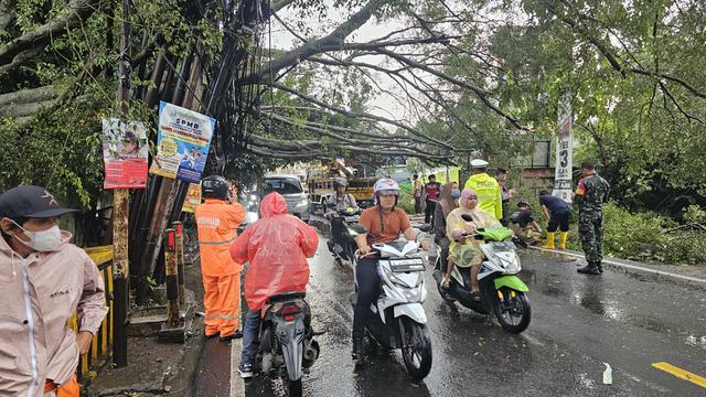 Hujan Deras Sebabkan Pohon Tumbang di Depok: Tutup Jalan dan Timpa Mobil