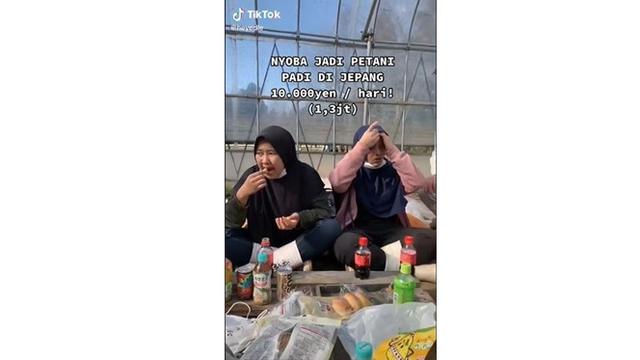 Kerja Paruh Waktu Jadi Petani di Jepang, Mahasiswa Ini Dapat Gaji Rp 1,3 Juta per 8 Jam