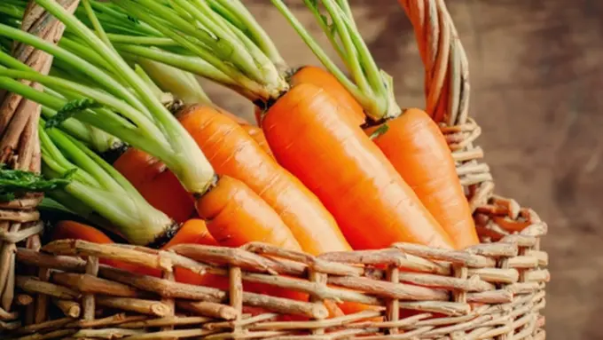 Copyright by Shutterstock.com