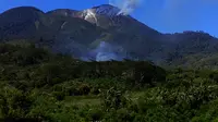 Kebakaran terjadi persis di puncak Gunung Talang, Kabupaten Solok, Sumatera Barat, yang berketinggian 2.597 mdpl tersebut. (Liputan6.com/Erinaldi)
