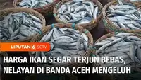 Jika harga bahan pokok akhir-akhir ini naik, harga ikan segar di Aceh justru terjun bebas dalam beberapa bulan terakhir. Bahkan harga ikan berada pada titik terendah dalam sepekan ini.