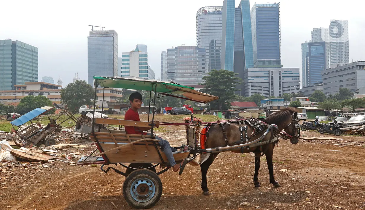 Pekerja mempersiapkan delman di kampung delman kawasan Menteng Dalam, Jakarta, Senin (27/9/2021). Para pekerja delman berharap pelonggaran PPKM membawa harapan mereka untuk kembali bekerja normal seperti biasanya. (Liputan6.com/Herman Zakharia)