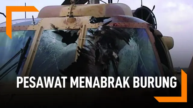 VIDEO: Yang Terjadi Bila Pesawat Menabrak Burung