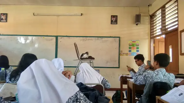 Meme Kucing Menguasai Dunia