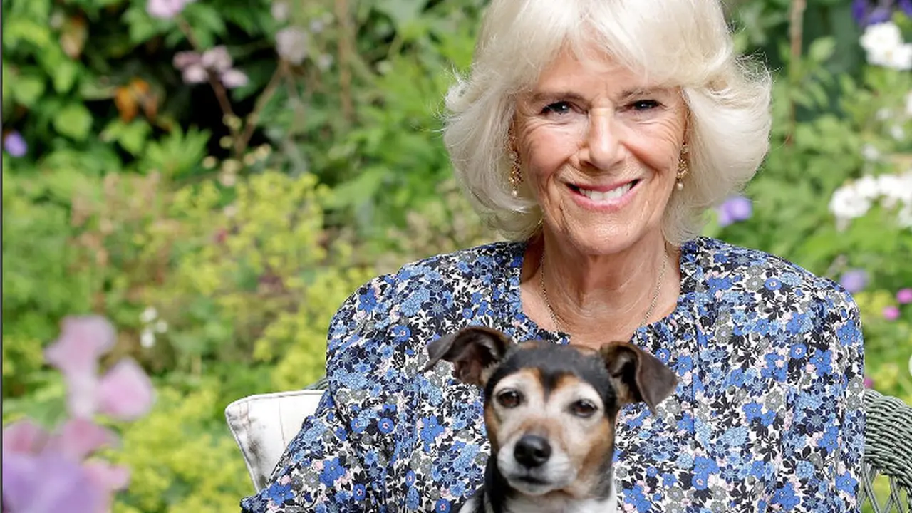 Camilla, Ratu Inggris. Ia menjadi ratu setelah Ratu Elizabeth II meninggal.