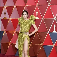 Hadir di ajang Oscar 2017 para aktor dan aktris tampil dengan maksimal. Terlihat  dari cara berpakaian yang mereka kenakan, baik gaya dan warnanya berhasil memikat orang-orang yang hadir saat itu. (doc.dailymail.com)