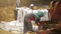 Seorang petani memantau pabrik gandum di sebuah pertanian di provinsi Delta Nil al-Sharqia, Mesir, Rabu (11/5/2022). Mesir sedang mencoba untuk meningkatkan produksi gandum dalam negeri karena perang di Ukraina telah tegang pasokan gandum internasional. (AP Photo/Amr Nabil)