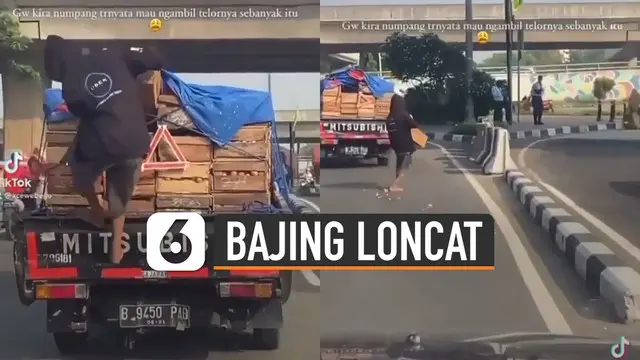 Terekam kamera pengendara mobil yang melintas, bajing loncat curi satu peti telur ayam di sebuah mobil box.