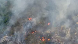 Pemandangan lahan yang terbakar dari atas helikopter di Pelalawan, Provinsi Riau, Kamis (17/9/2015). Asap dari kebakaran hutan ini mengakibatkan aktivitas warga Riau dan sekitarnya terganggu (AFP Photo/Adek Berry)
