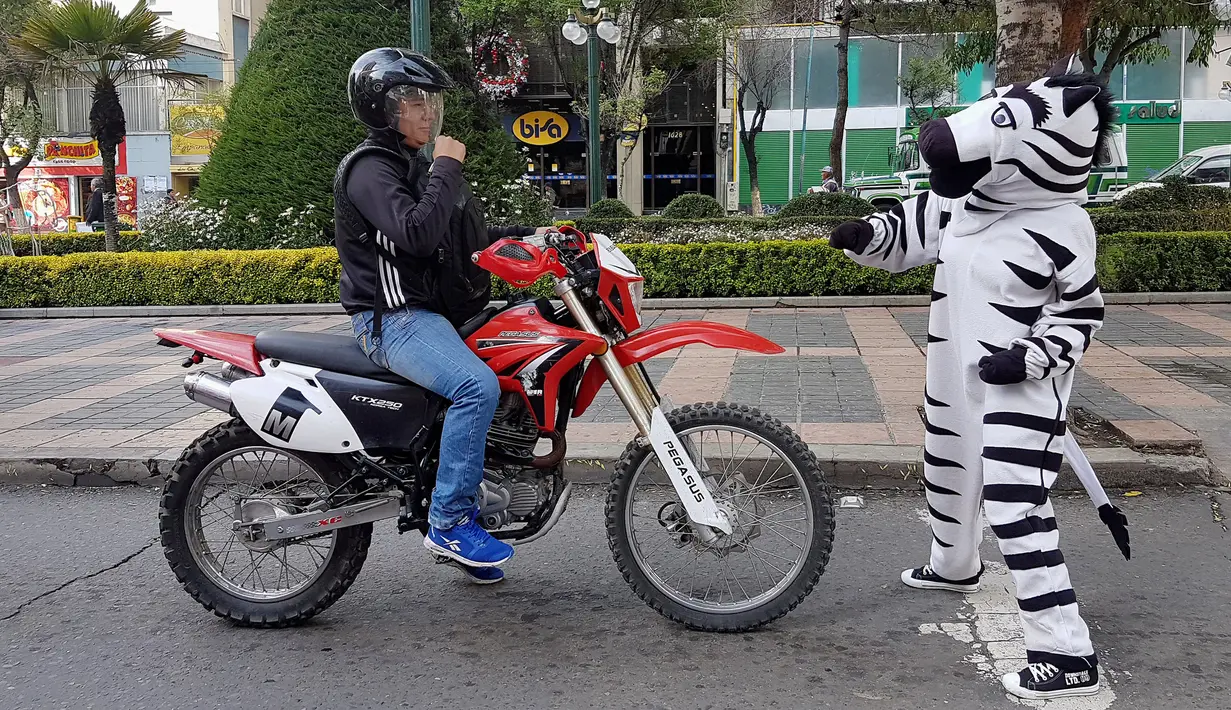 Seorang warga berpakaian seperti zebra berbincang dengan pengendara motor sebagai bagian dari program pendidikan di jalan di La Paz, Bolivia,(5/12). Kegiatan ini cukup menyita perhatian sejumlah pengendara. (REUTERS/David Mercado)