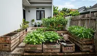 6 Desain Kebun Sayur dari Peti Buah Bekas yang Bikin Halaman Rumah Makin Produktif