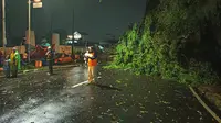 Angin puting beliung yang menerjang beberapa wilayah di Kota Bogor membuat sejumlah pohon tumbang, Kamis (15/10/2020). (Liputan6.com/Achmad Sudarno)