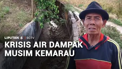 Dampak musim kemarau mulai meluas dan menimbulkan krisis air di sejumlah wilayah di Jawa Barat. Di pantura Subang, ratusan hektare lahan persawahan kekeringan. Sementara di Purwakarta, warga mulai kesulitan air bersih hingga terpaksa membeli air isi ...