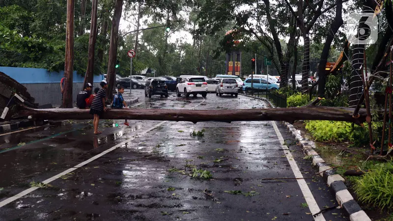 FOTO: Cuaca Ekstrem Landa Tangerang, Puluhan Pohon Tumbang Timpa Mobil